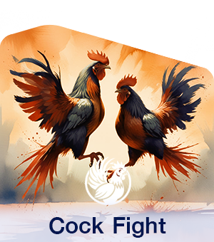 CockFight2